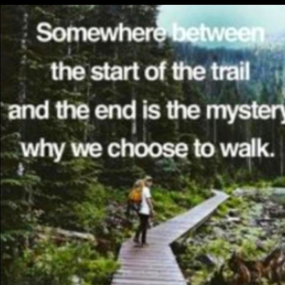 Vintage Adventures of Pinocchio pre 1940C Collodi - Picture 14 of 16